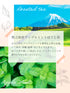 Apple mint x hojicha 茶包 2.5g x 35p
